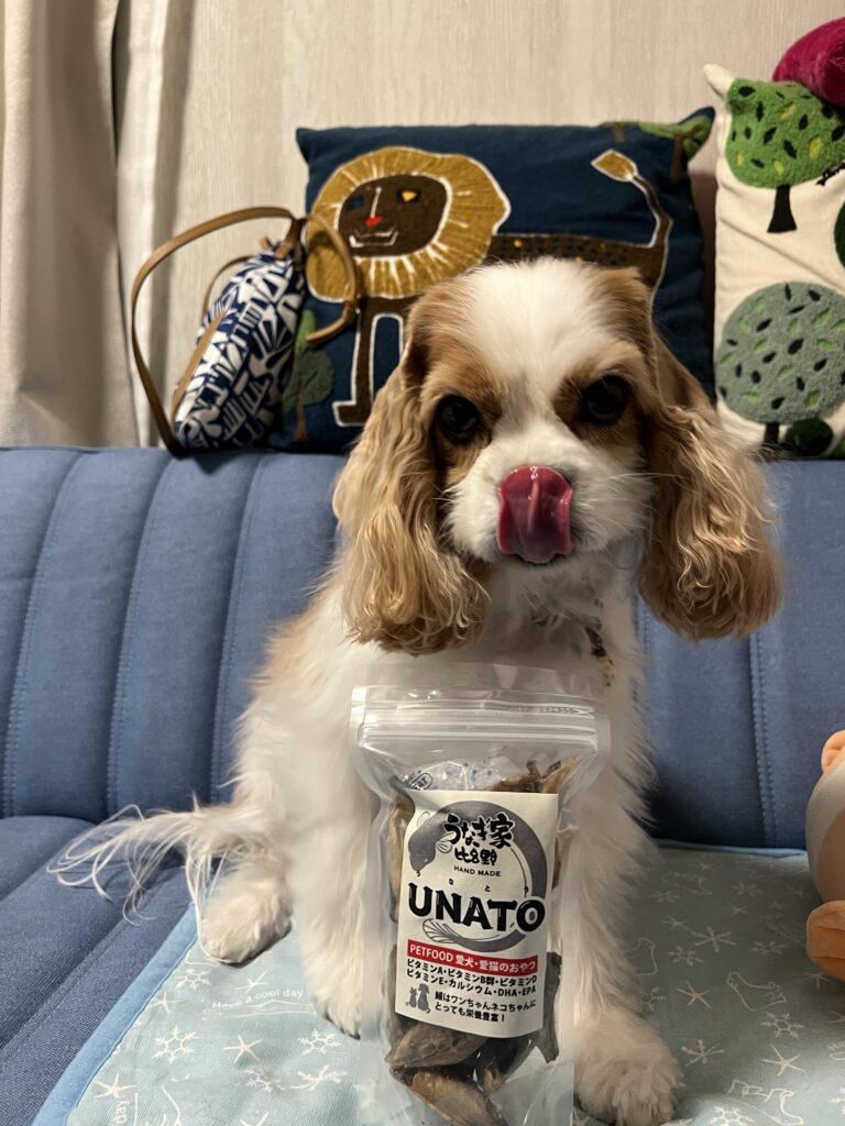 unatoを食べる前の犬